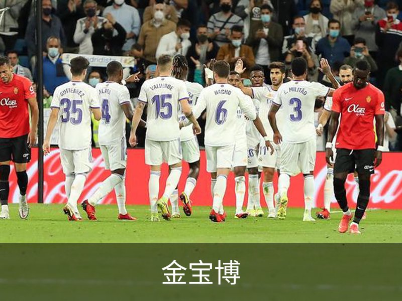 关于金宝博